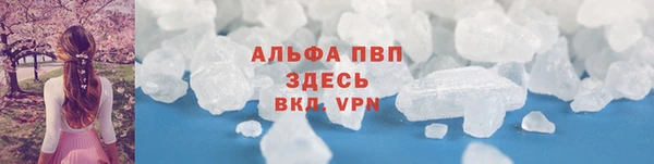 трава Новодвинск