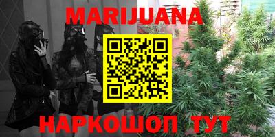 прущие грибы Балахна