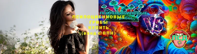 Галлюциногенные грибы ЛСД  Калач-на-Дону 