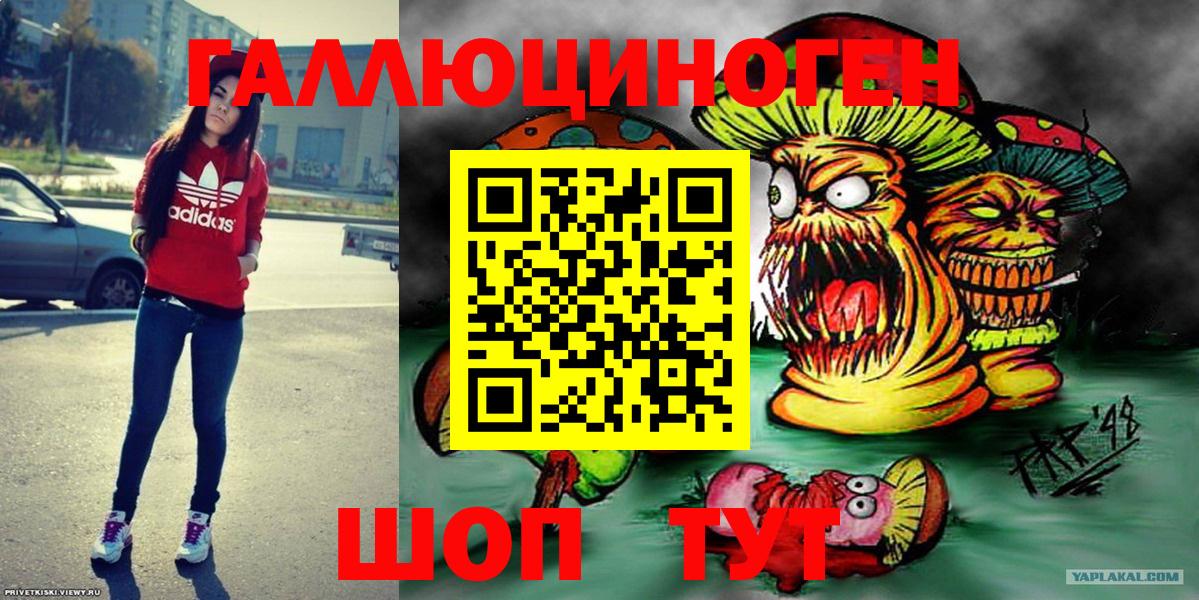 Псилоцибиновые грибы Psilocybe Калач-на-Дону