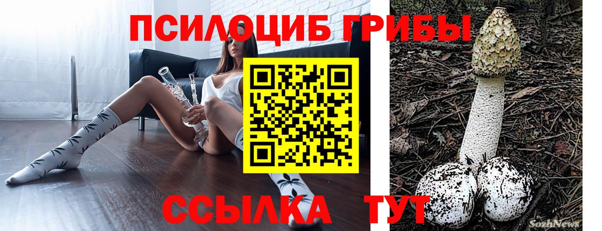 Калач-на-Дону  Галлюциногенные грибы ЛСД  Галлюциногенные грибы MAGIC MUSHROOMS  Вход с VPN 
