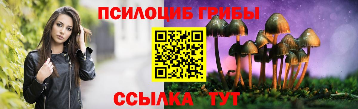 Псилоцибиновые грибы мухоморы Калач-на-Дону