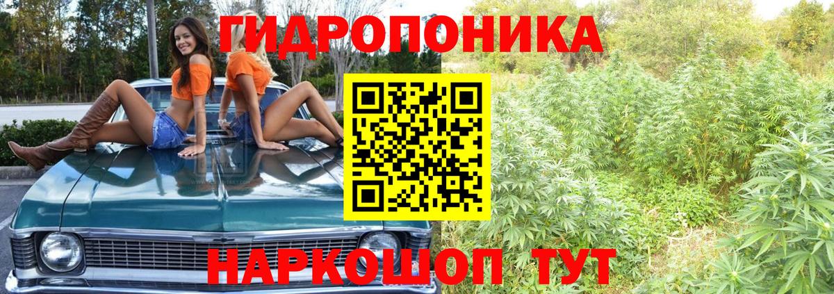 Марихуана гибрид Калач-на-Дону